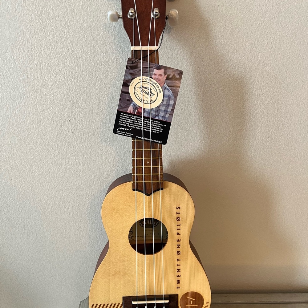 twenty one pilots ukulele